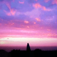 Photo du profil de l'utilisateur